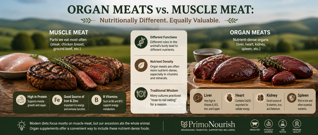 Organ Meats vs. Muscle Meat: What’s the Difference?