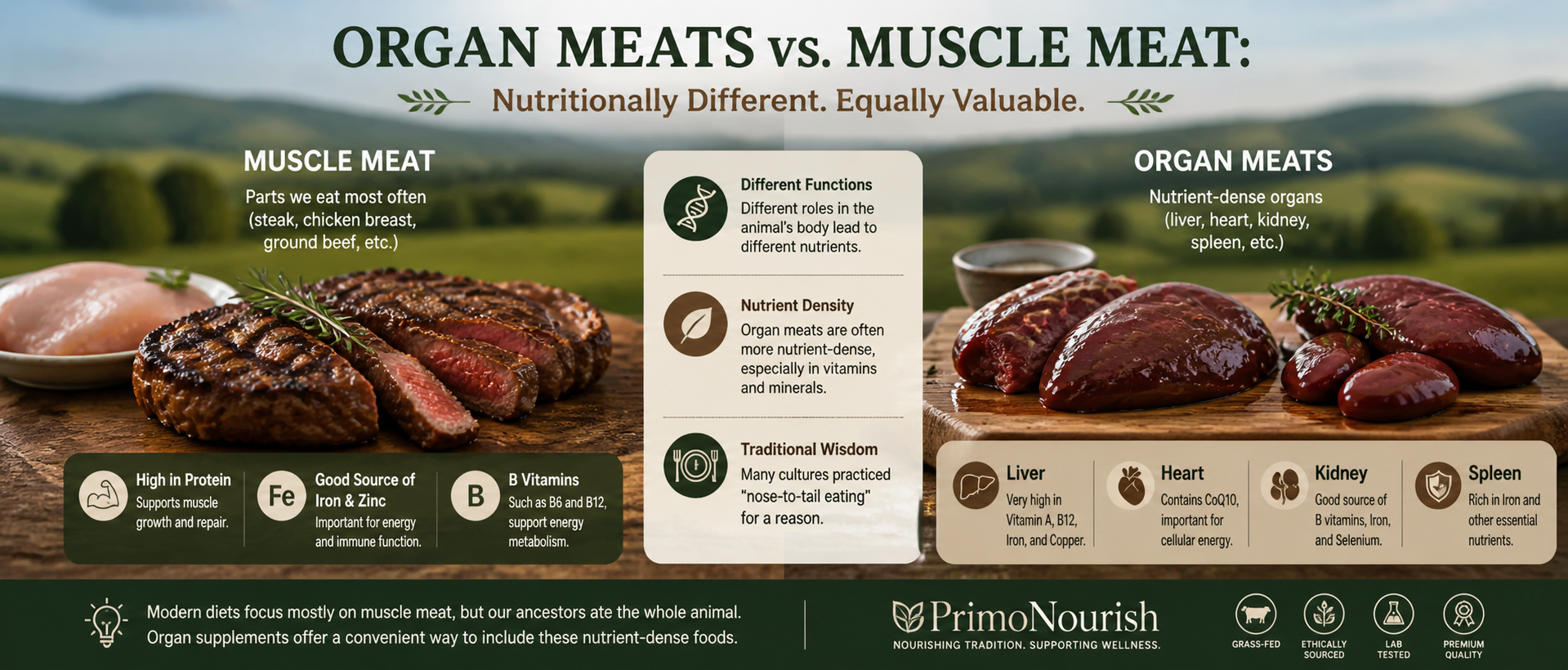 Organ Meats vs. Muscle Meat: What’s the Difference?