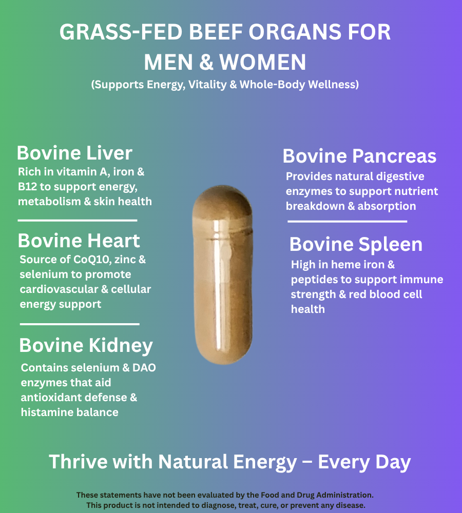 PrimoNourish Grass-Fed Beef Organ Complex – Pasture-Raised Blend of Liver, Heart, Kidney, Pancreas & Spleen – Supports Energy, Vitality & Whole-Body Wellness – Hormone-Free, 180 Capsules, Made in USA